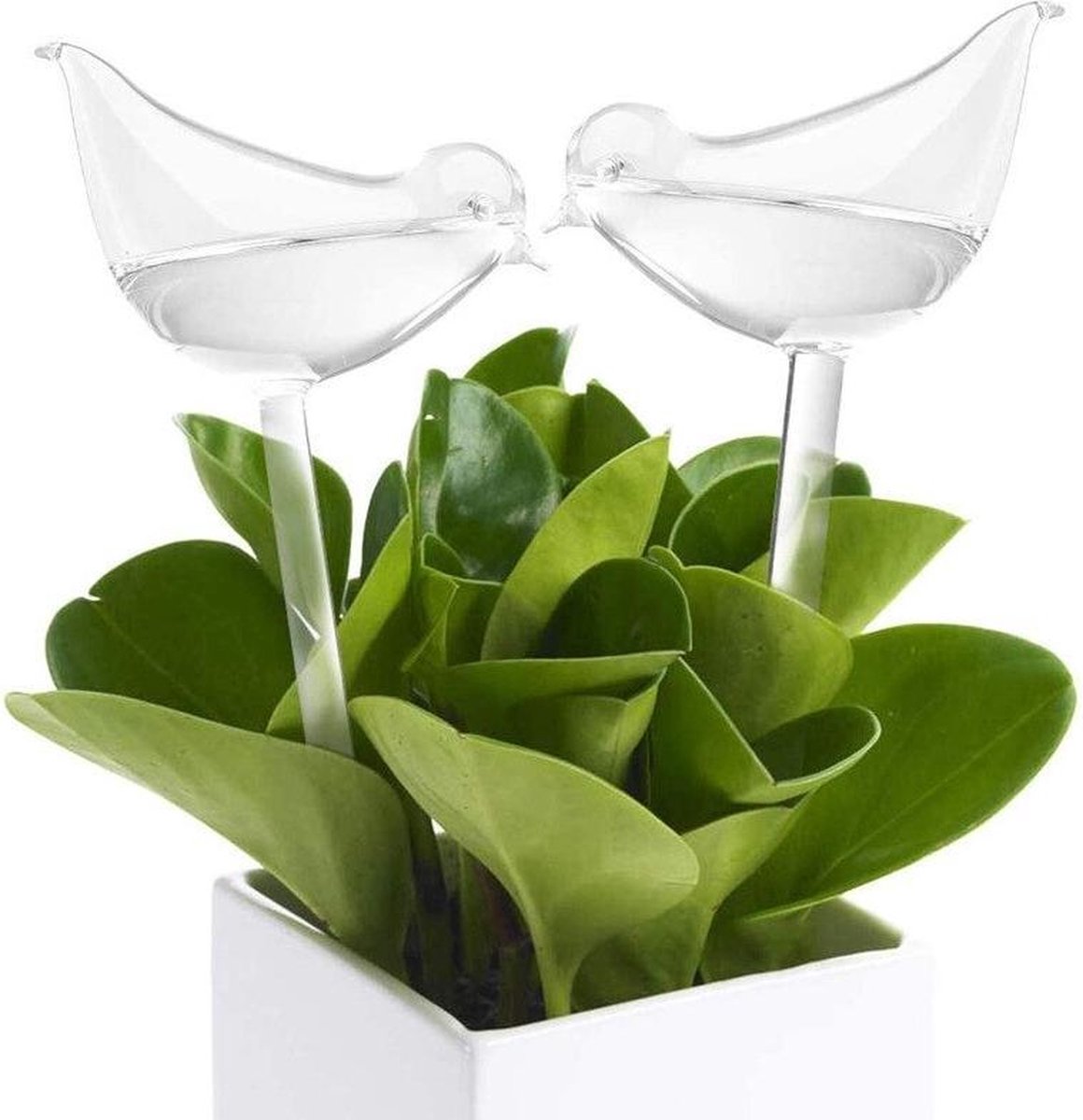 Luxe Planten Waterdruppelaar - Waterbol Vogel - Watergever - Watergeefsysteem Voor Planten & Bloemen - 200ML - Set Van 2