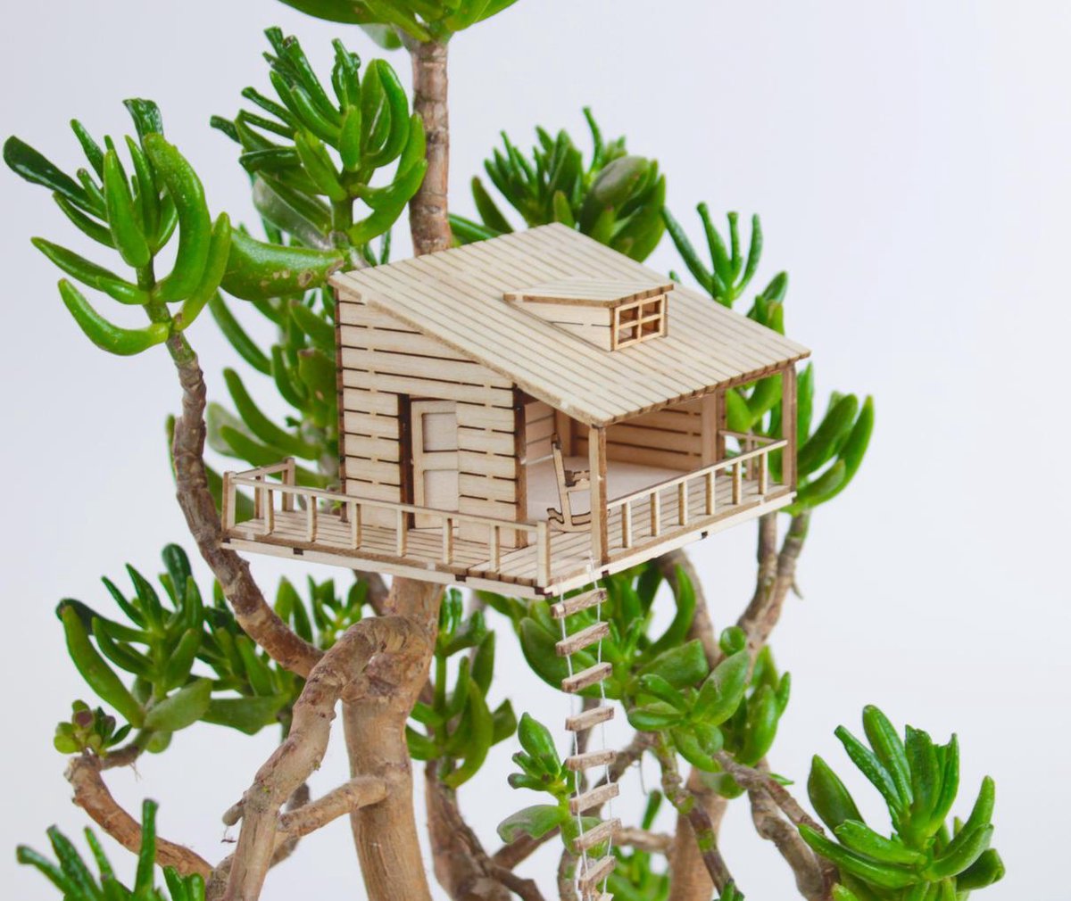 The Amazing Plant-hut | Miniature Treehouse Mini Boomhutje