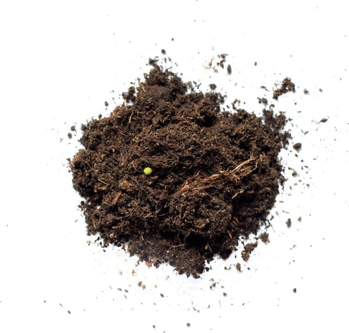 Pokon Kamerplanten Potgrond - 10l - Potgrond (kamerplant) - 6 Maanden Voeding
