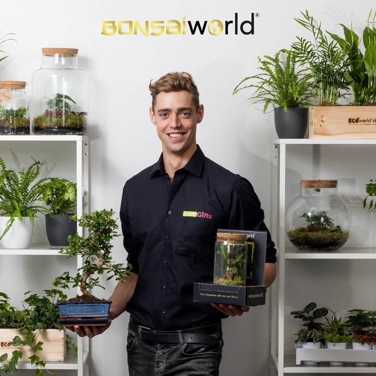 Bonsaiworld Bonsai Boom XL - 6-Delige Set - 12 Jaar Oud - ↕️ 30-35 Cm