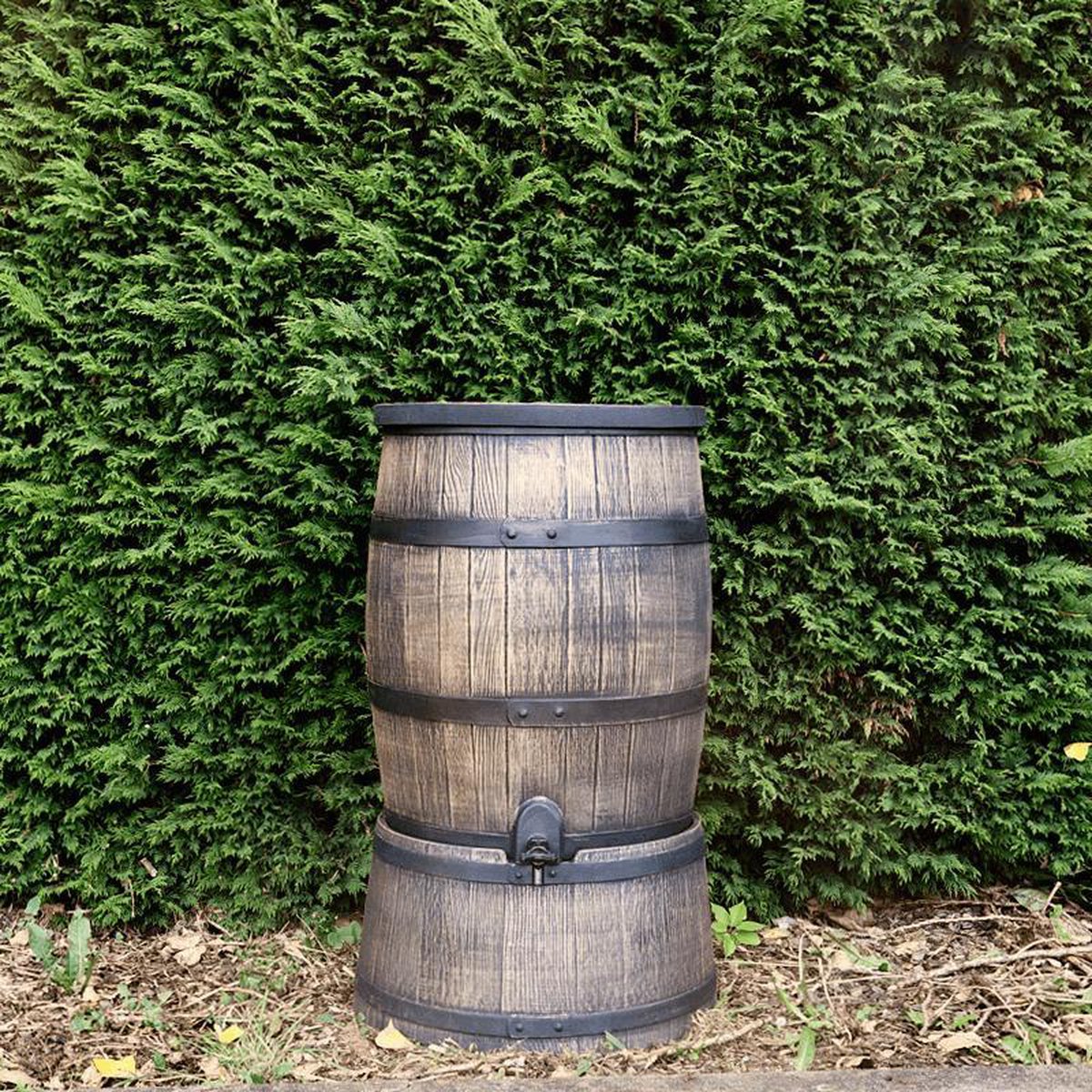 Regentonset Roto 120 Liter + Voet