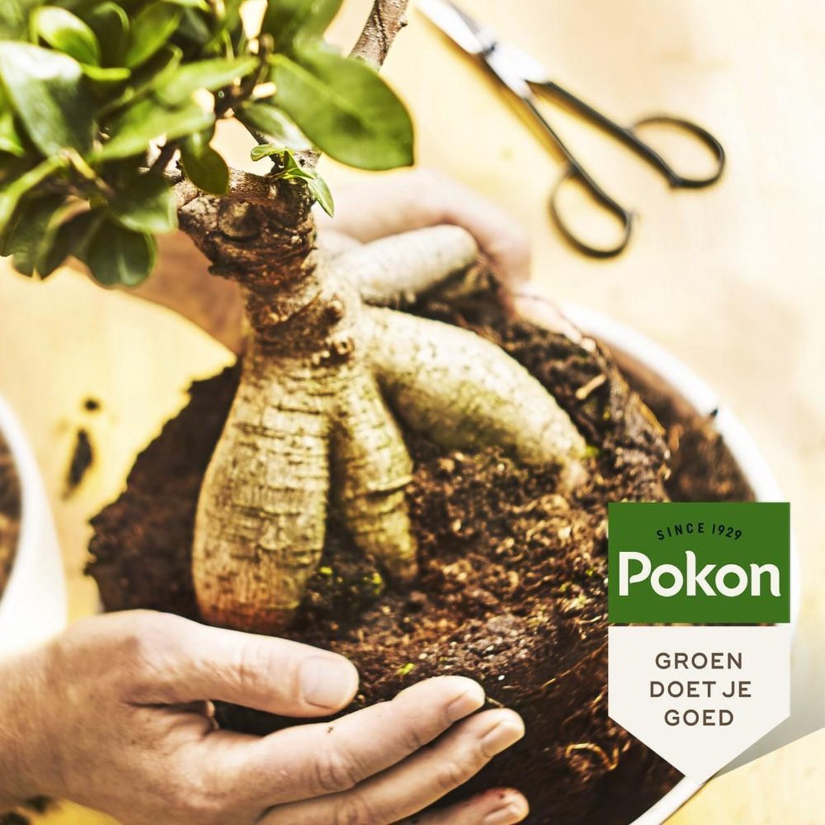 Pokon RHP Bonsai Potgrond - 5l - Potgrond (Bonsai) - 60 Dagen Voeding
