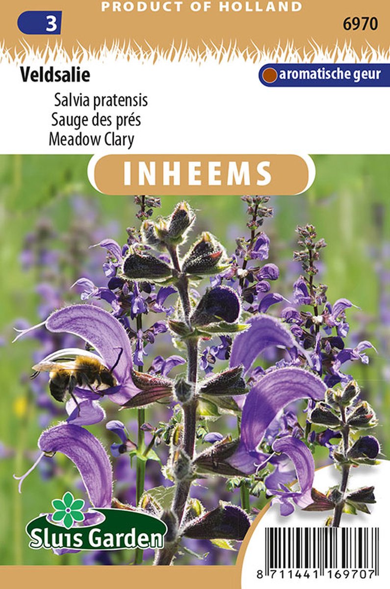 Sluis Garden - Inheemse Bloemenzaden - Veldsalie - Salvia Pratensis - Geproduceerd In Nederland