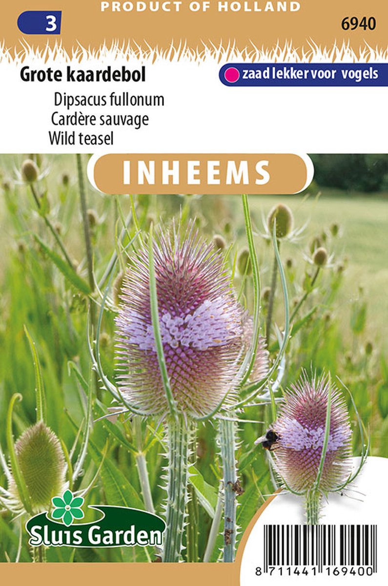 Sluis Garden - Inheemse Bloemenzaden - Grote Kaardebol - Geproduceerd In Nederland