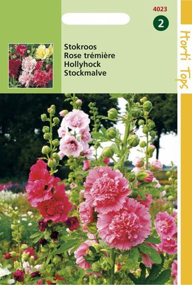 Hortitops Zaden - Althaea Rosea Summer Carnival - Stokroos