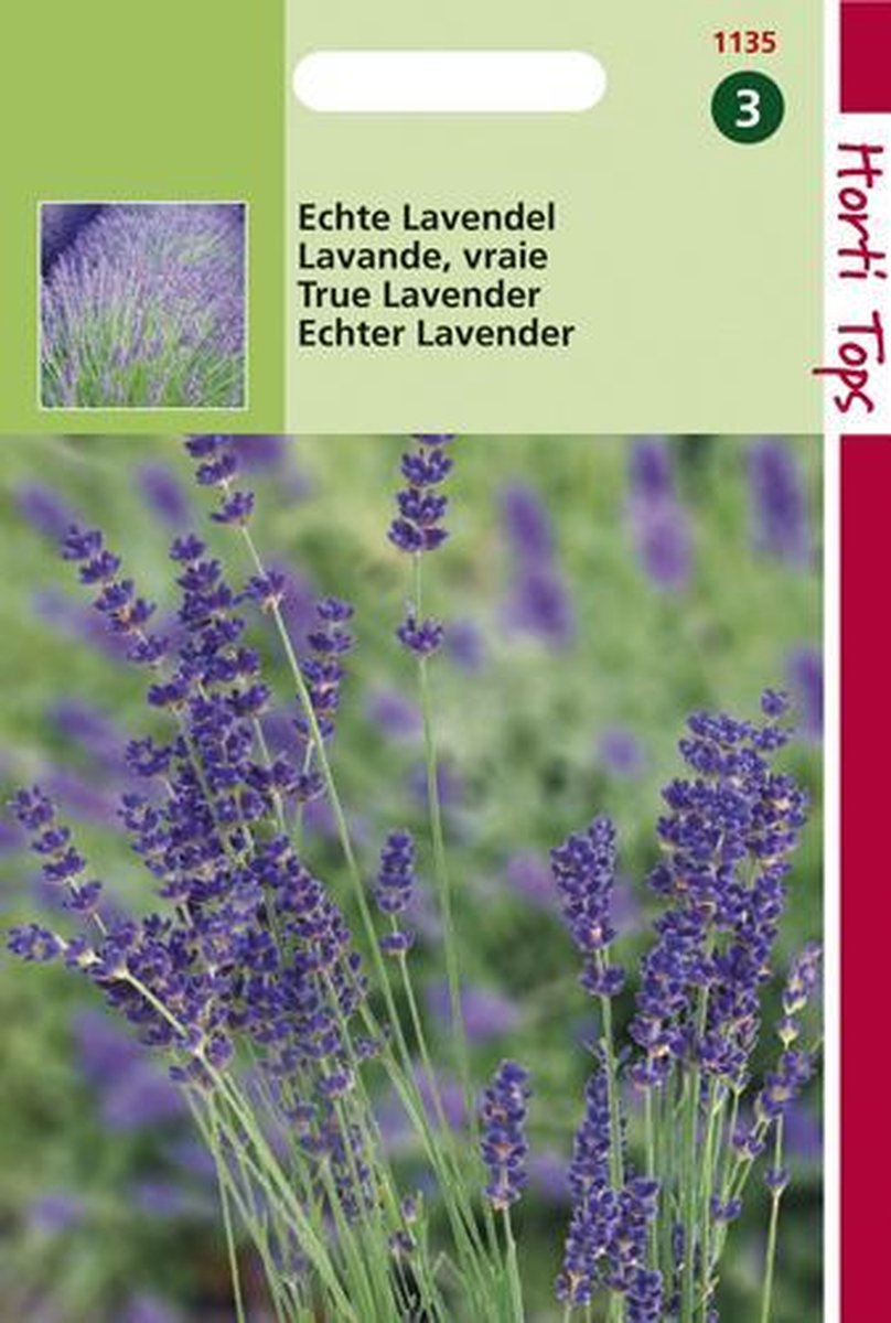 Hortitops - Echte Lavendel - Lavandula Officinalis