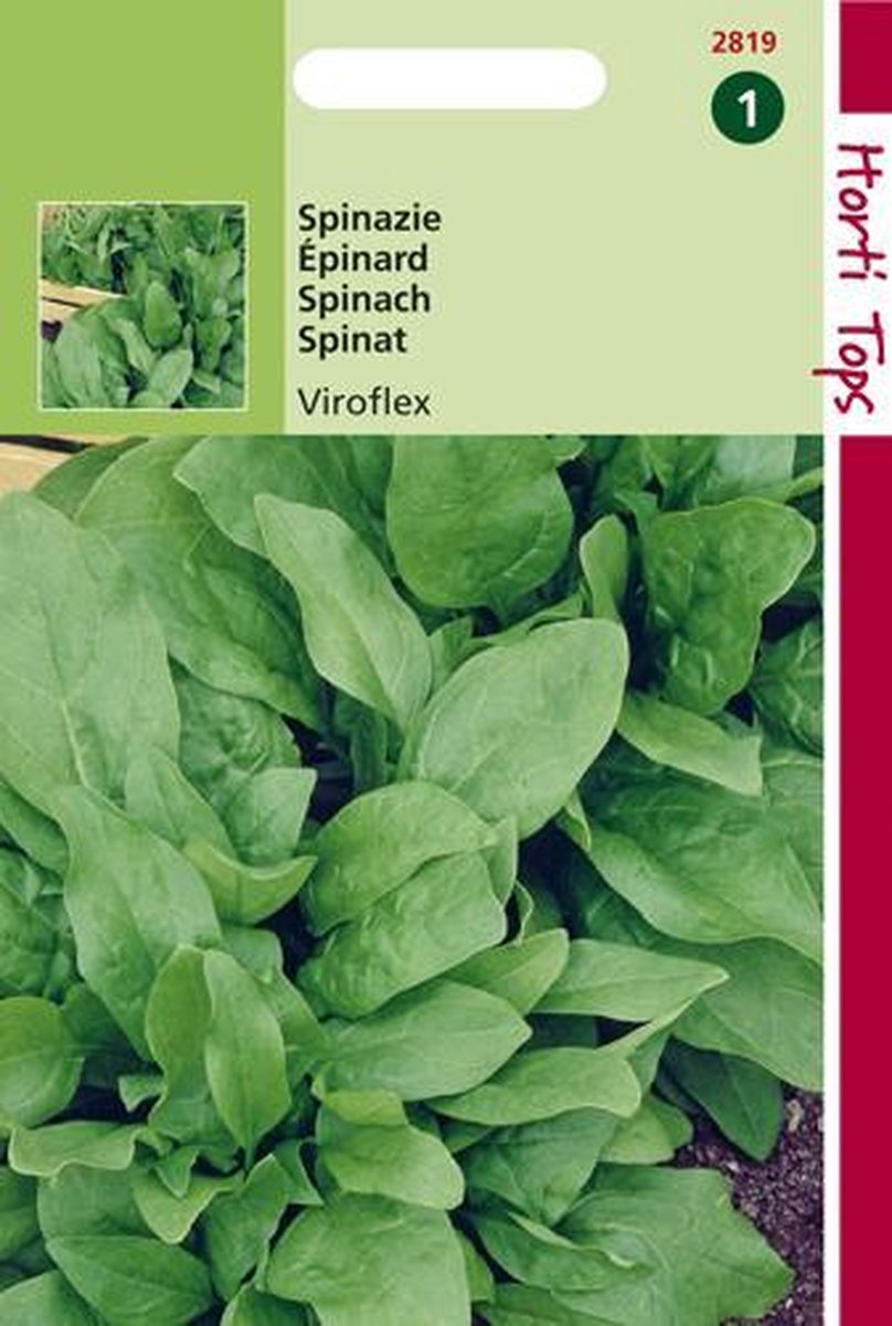 Hortitops Zaden - Spinazie Winterreuzen 15 Gram