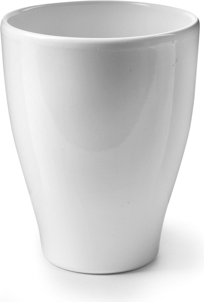 Ecoworld Mini Cactussen - 5 Stuks - Ø 6 Cm - Hoogte 8-15 Cm