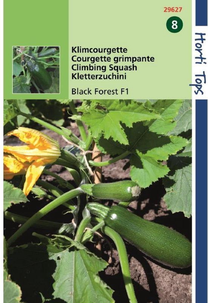 Hortitops Zaden - Klimcourgette Zaden Black Forest F1 - Inh.: 8 Zaden