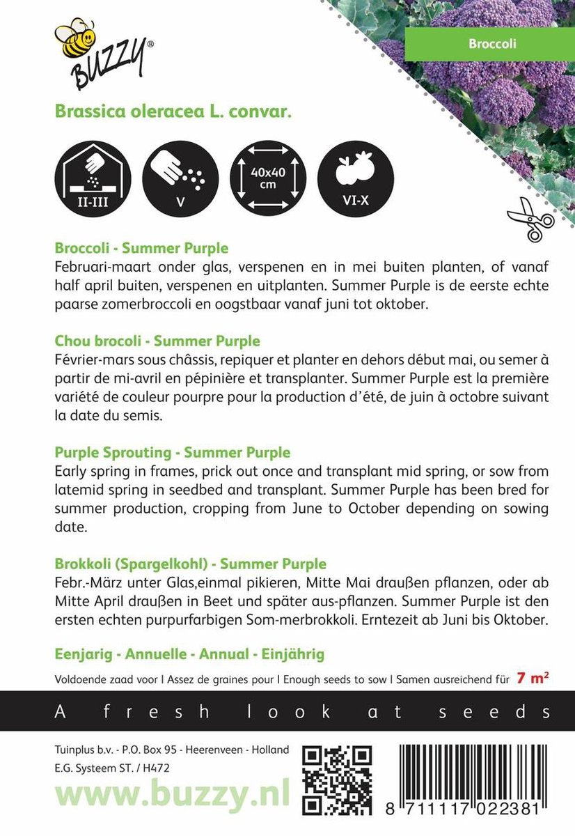 Buzzy® Broccoli Summer Purple