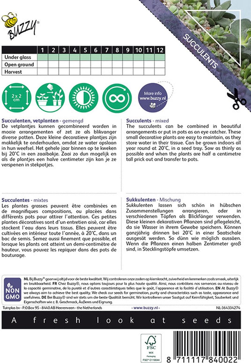 Buzzy House Plants - Kamerplantzaden - Succulenten, Vetplanten - Gemengd