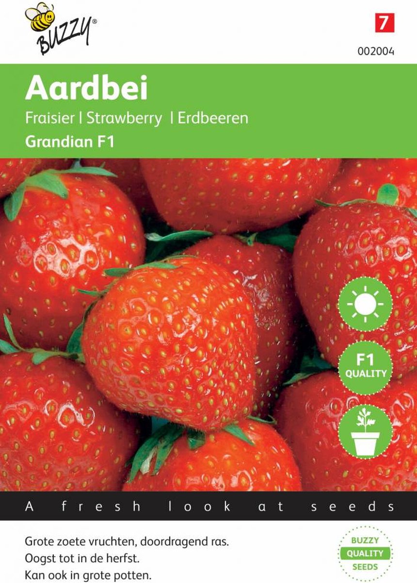 Buzzy® Aardbeien Grandian F1