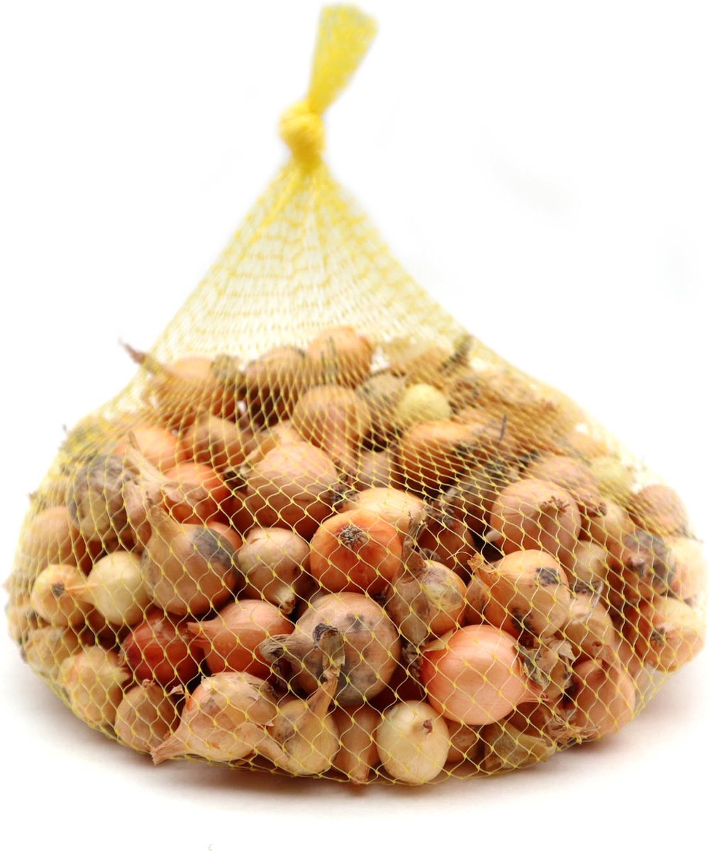  Plantui / Pootui 'Stuttgarter' - Maat 14/21 - 500 G (ca. 100 Stuks)