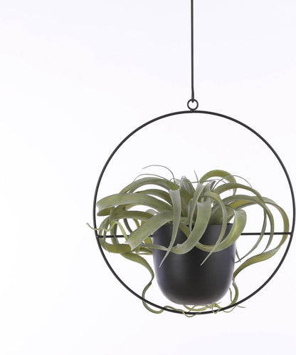 Mica Decorations Dexter Bloempot Hangend - L34 X B14 X H65 Cm - Zwart