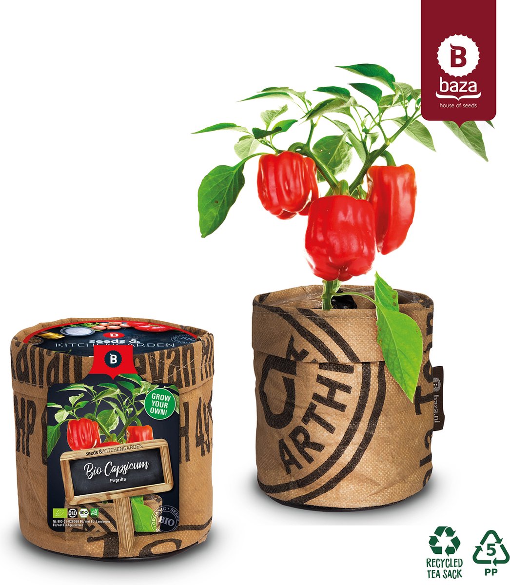  Van 32,95 Voor 24,95 3 Stuks Moestuin Kweekset Aardbei, Tomaat Paprika GRATIS VERZENDING