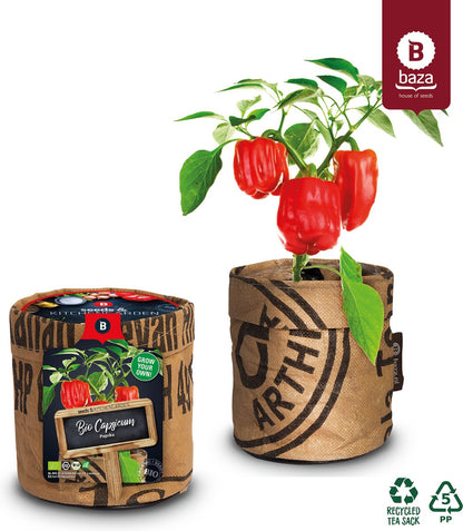  Van 32,95 Voor 24,95 3 Stuks Moestuin Kweekset Aardbei, Tomaat Paprika GRATIS VERZENDING