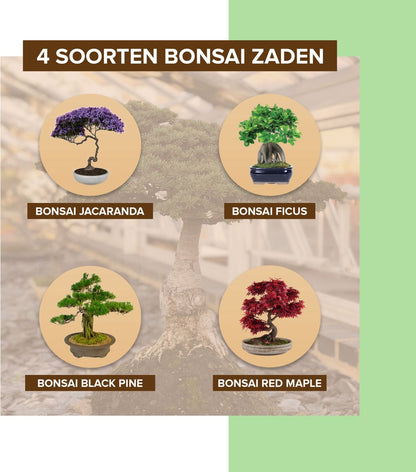  B-seed Starters Kit Incl. E-Book Bonsai Zaden Kweken - Boompje In Pot - Kamerplanten - Kweekset - Geschenkset - Kerstcadeau