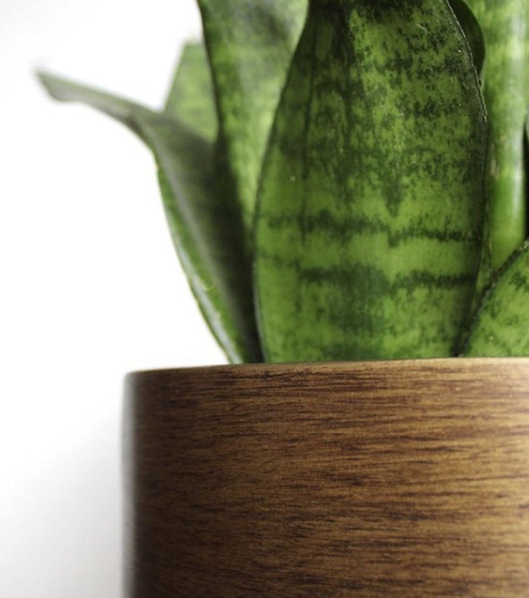  Capi Europe - Bloempot Bol Retro XL - 42x41 - Goud - Bloempot Voor Binnen - Opening ⌀36 - RTG933