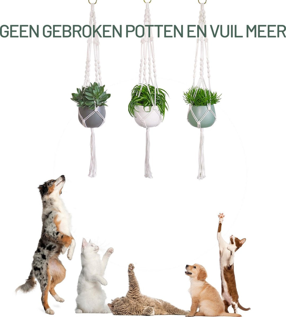  Gadgy Plantenhanger Macramé 3 Stuks - Luxe Gevlochten Touw Katoen - Plantenpot Ophangen - Hangpot