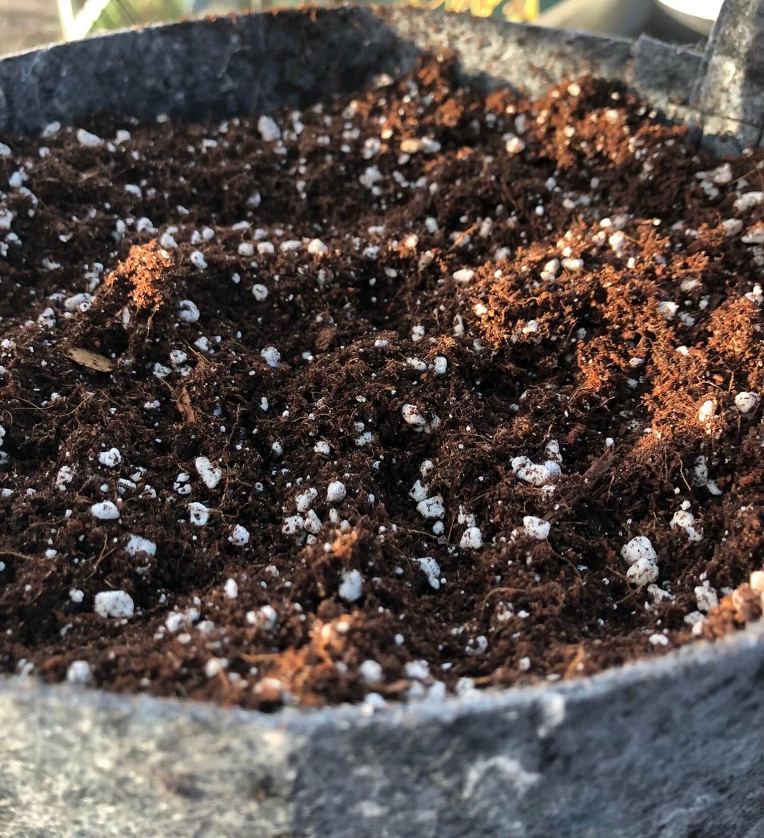  Cellmax Kokos Perliet Mix-50L-Kokos-Potgrond 70% Kokosvezel - 30% Perliet