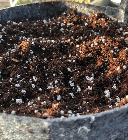  Cellmax Kokos Perliet Mix-50L-Kokos-Potgrond 70% Kokosvezel - 30% Perliet
