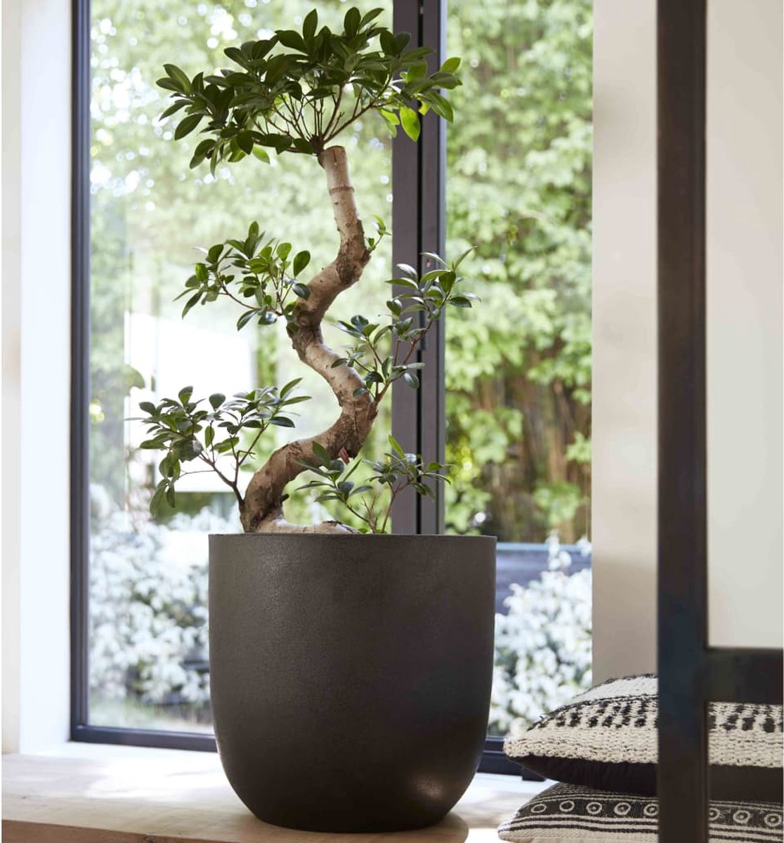  Capi Europe - Bloempot Bol Smooth NL - 35x34 - Zwart - Voor Binnen En Buiten - KBL932