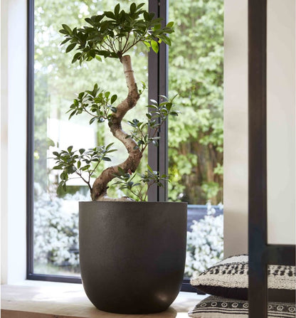  Capi Europe - Bloempot Bol Smooth NL - 35x34 - Zwart - Voor Binnen En Buiten - KBL932