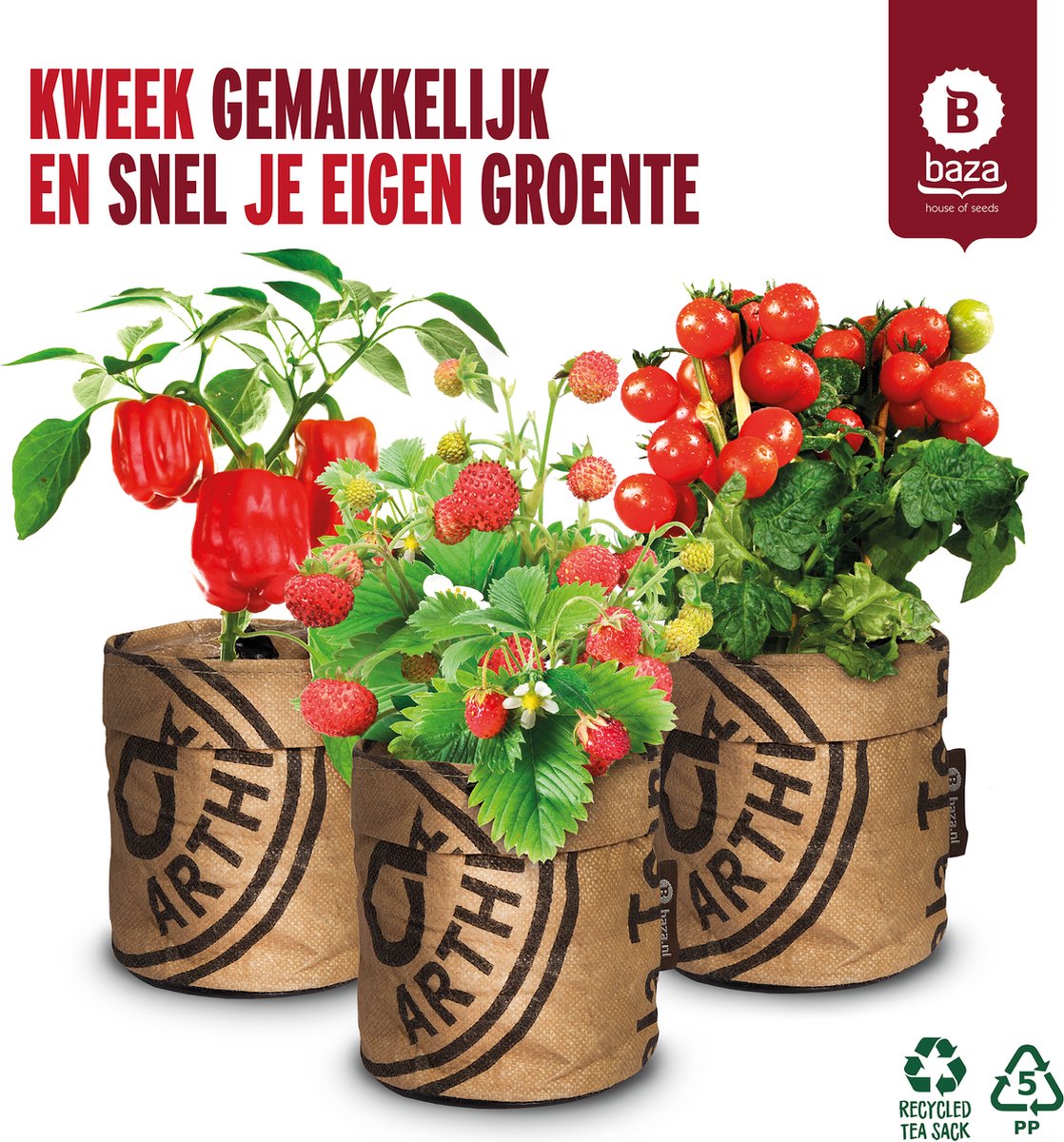  Van 32,95 Voor 24,95 3 Stuks Moestuin Kweekset Aardbei, Tomaat Paprika GRATIS VERZENDING