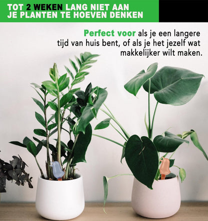  Waterdruppelaar Voor Planten 2 Stuks - Waterbol Kamerplanten - Automatisch Watergeefsysteem - Vogel - Blauw