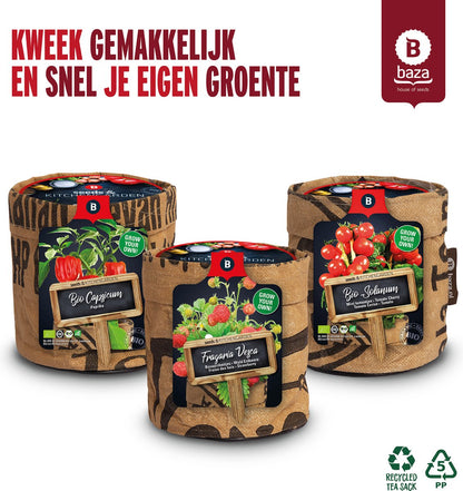  Van 32,95 Voor 24,95 3 Stuks Moestuin Kweekset Aardbei, Tomaat Paprika GRATIS VERZENDING