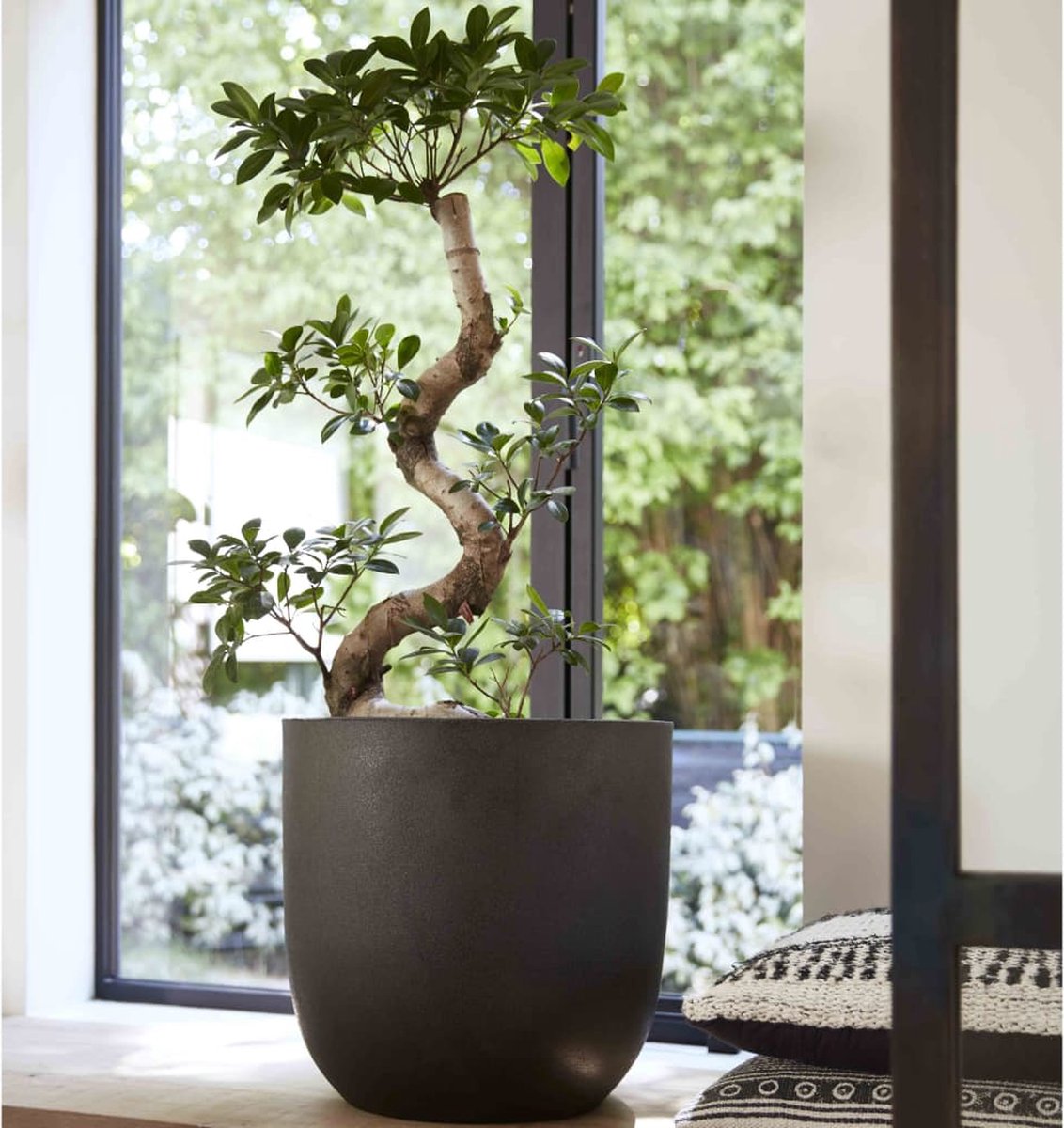  Capi Europe - Bloempot Bol Smooth NL - 43x41 - Zwart - Voor Binnen En Buiten - KBL933