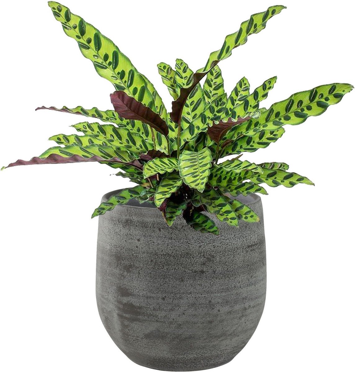 Merkloos Pot Esra Mystic Grey Bloempot Binnen 22 Cm