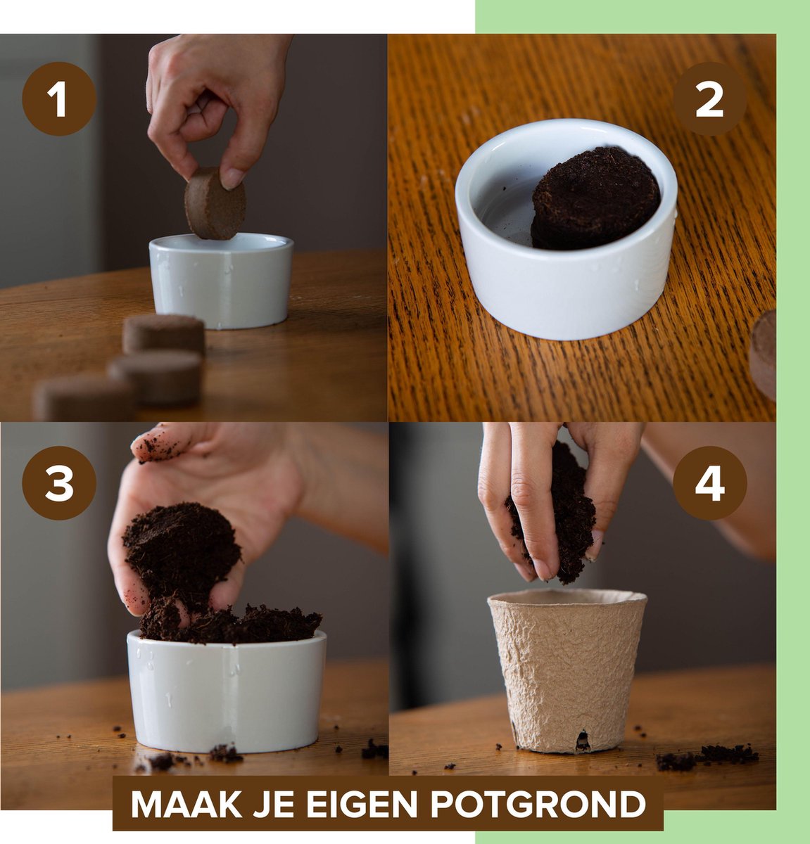  B-seed Starters Kit Incl. E-Book Bonsai Zaden Kweken - Boompje In Pot - Kamerplanten - Kweekset - Geschenkset - Kerstcadeau