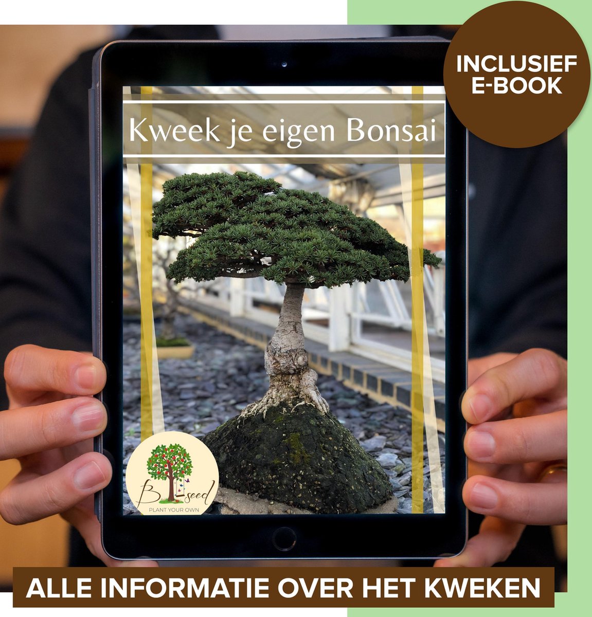  B-seed Starters Kit Incl. E-Book Bonsai Zaden Kweken - Boompje In Pot - Kamerplanten - Kweekset - Geschenkset - Kerstcadeau