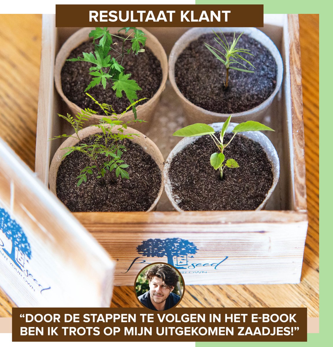  B-seed Starters Kit Incl. E-Book Bonsai Zaden Kweken - Boompje In Pot - Kamerplanten - Kweekset - Geschenkset - Kerstcadeau