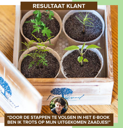  B-seed Starters Kit Incl. E-Book Bonsai Zaden Kweken - Boompje In Pot - Kamerplanten - Kweekset - Geschenkset - Kerstcadeau