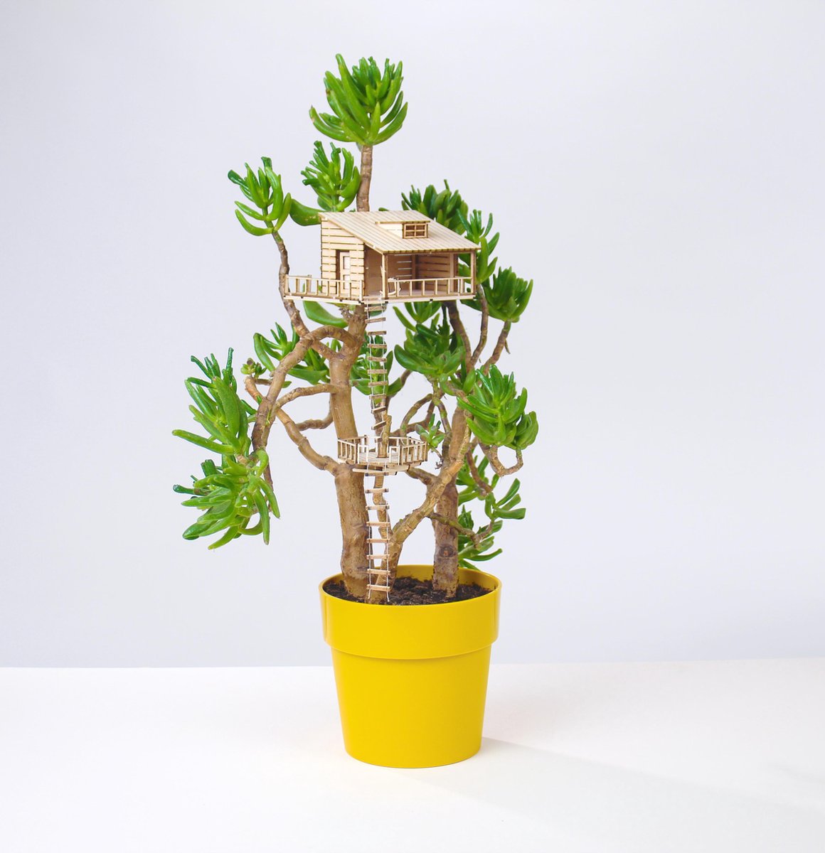  The Amazing Plant-hut | Miniature Treehouse Mini Boomhutje