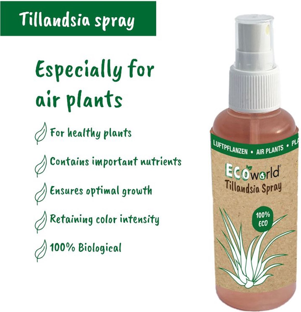  Ecoworld Luchtplantjes Spray - 125 Ml - Spray Voor Tillandsia Luchtplanten - 100% Biologische Airplant Verzorgingspray - Uit Eigen Kwekerij