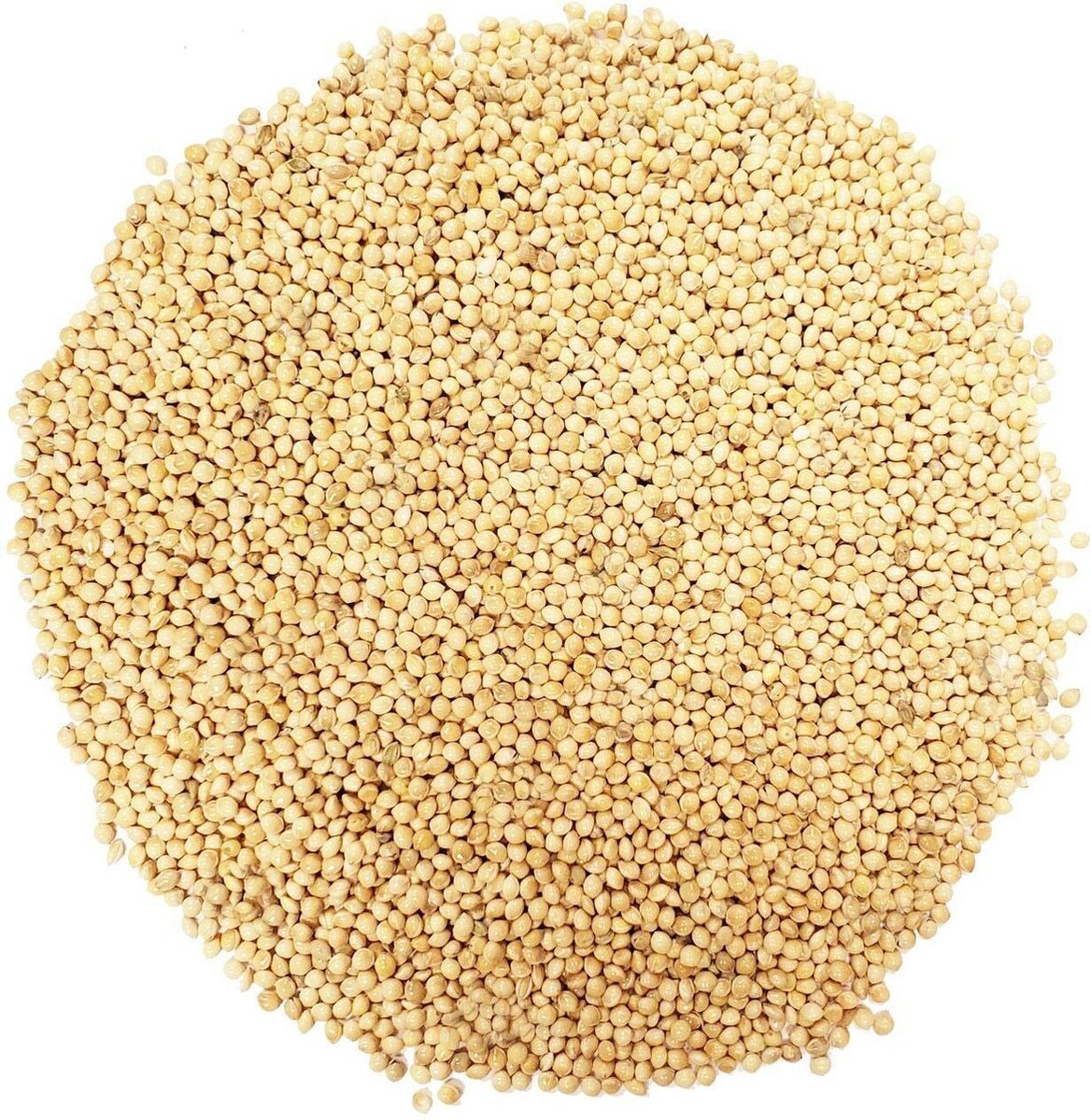  ToshiFarm Broed Voor Grijze Gele En Roze Oesterzwammen - Triple Pack - 150 Gram