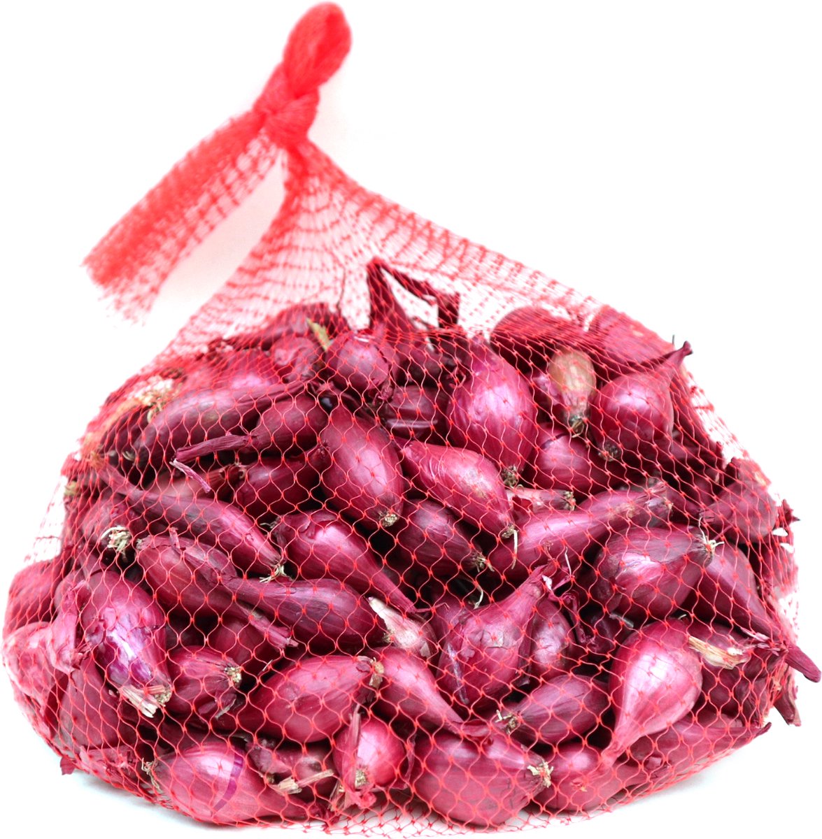  Plantui / Pootui 'Red Baron' - Rode Ui - Maat 14/21 - 500 G (ca. 100 Stuks)