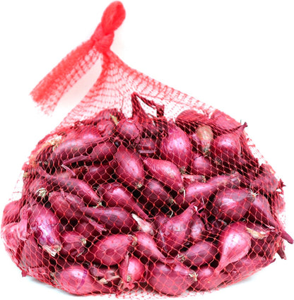  Plantui / Pootui 'Red Baron' - Rode Ui - Maat 14/21 - 500 G (ca. 100 Stuks)