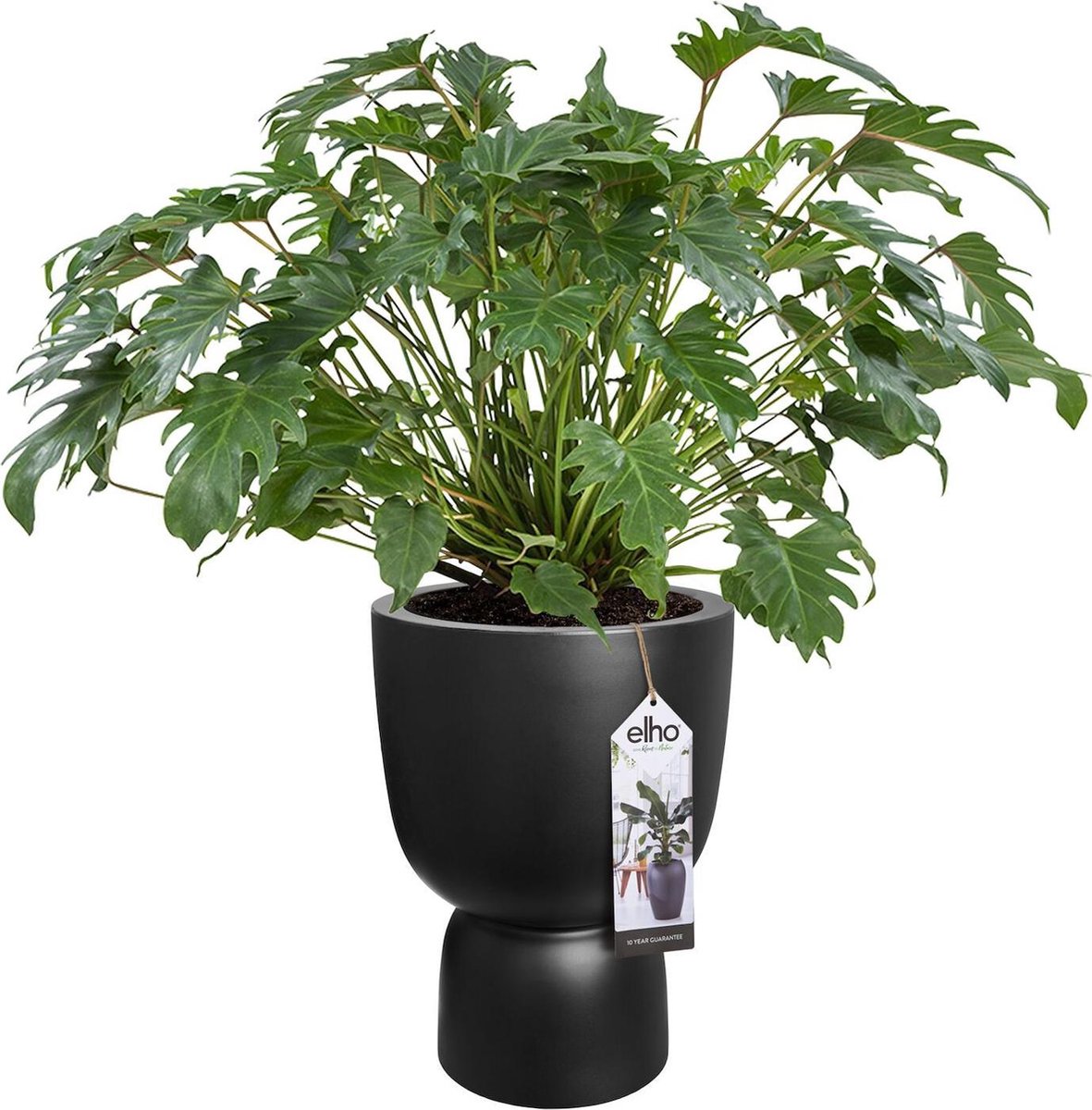  Elho Pure Coupe 35 - Bloempot Voor Binnen &amp; Buiten - Ø 34.9 X H 49.0 Cm - Zwart/Zwart