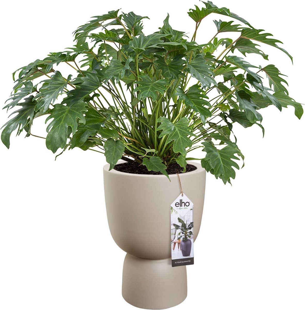  Elho Pure Coupe 41 - Bloempot Voor Binnen &amp; Buiten - Ø 41.3 X H 57.9 Cm - Beige/Balanced Beige