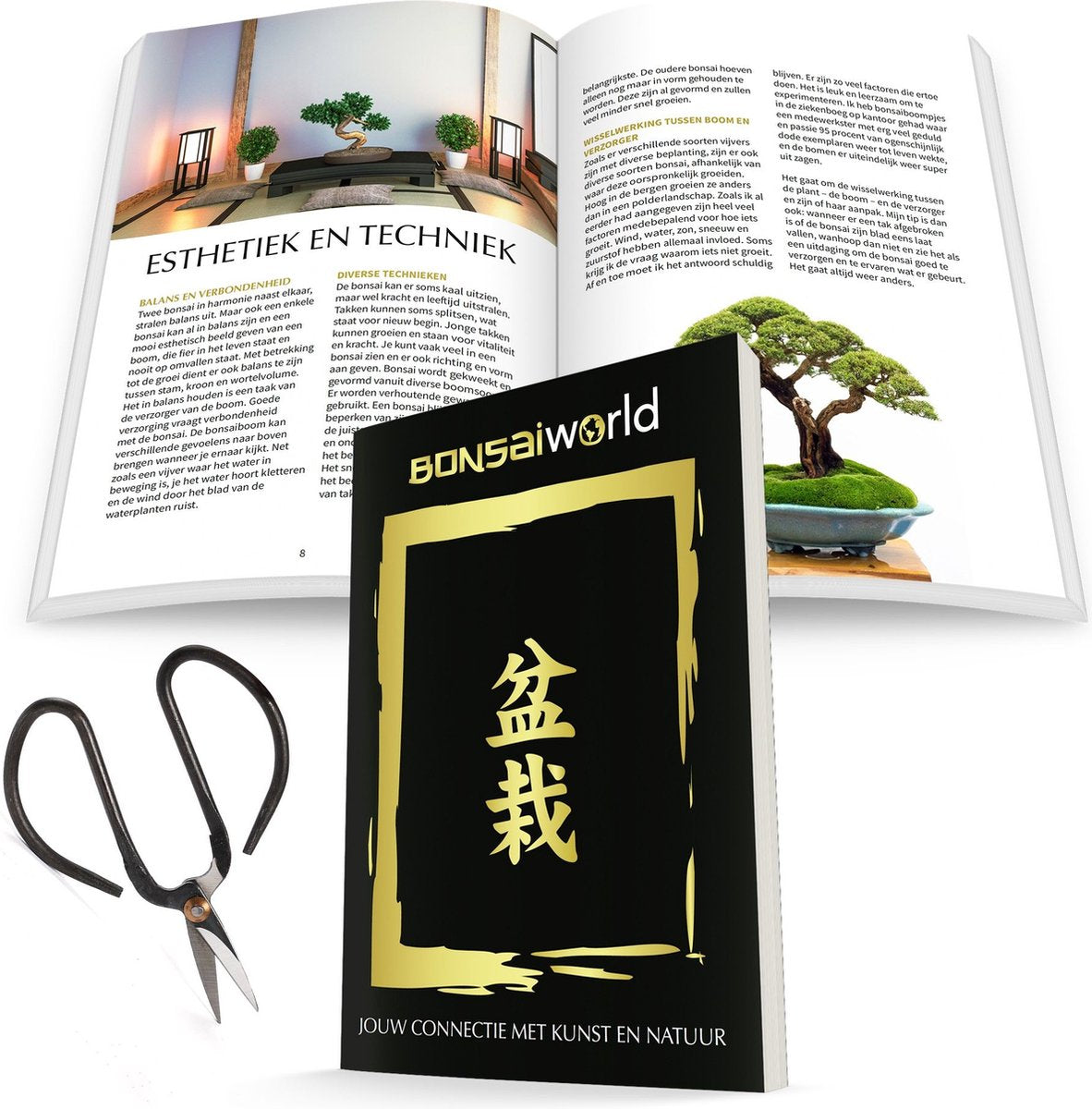  Bonsaiworld Bonsai Boompje + Starters Kit - 5-Delige Set - 10 Jaar Oude Bonsai Boom - Hoogte 25-30 Cm