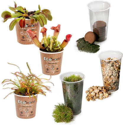  Ecoworld Vleesetende Planten Mix - DIY Ecosysteem Plant Set - 3 Vleesetende Planten - Met Terrarium Plant Venus Vliegenval Zonnedauw En Trompetbekerplant - Inclusief Substraat - Grond - Mos