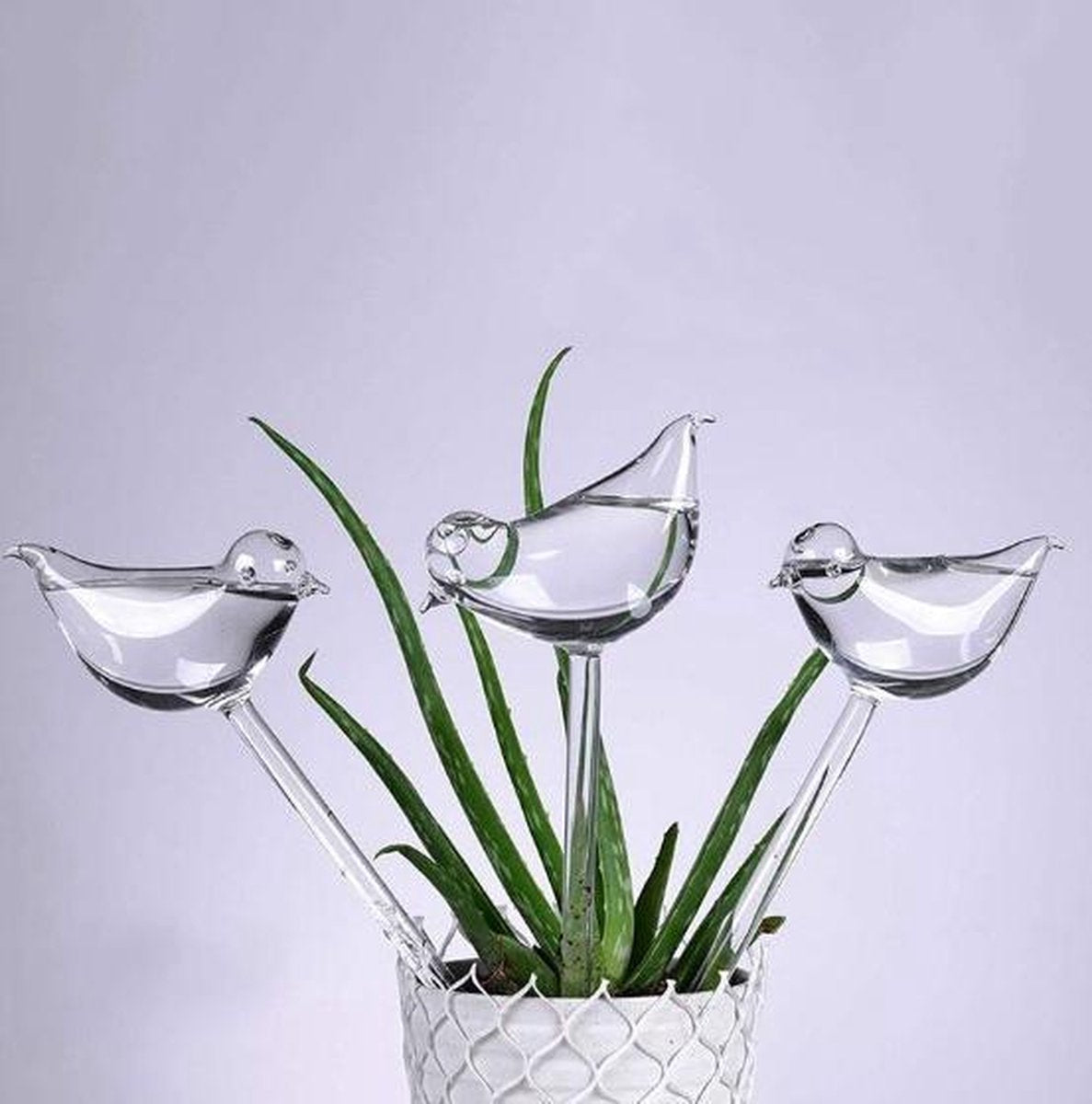  Waterdruppelaar Planten - Vorm Vogel - Set Van 3 Kunststof Druppelaars - 25cm Lengte - Genoeg Water Tijdens Je Vakantie