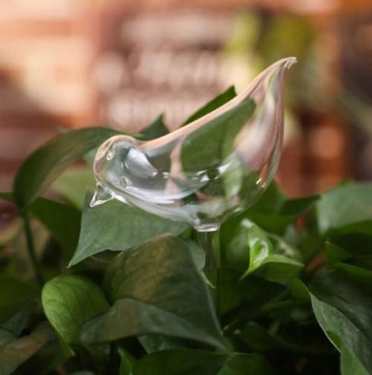  Waterdruppelaar Planten - Vorm Vogel - Set Van 3 Kunststof Druppelaars - 25cm Lengte - Genoeg Water Tijdens Je Vakantie