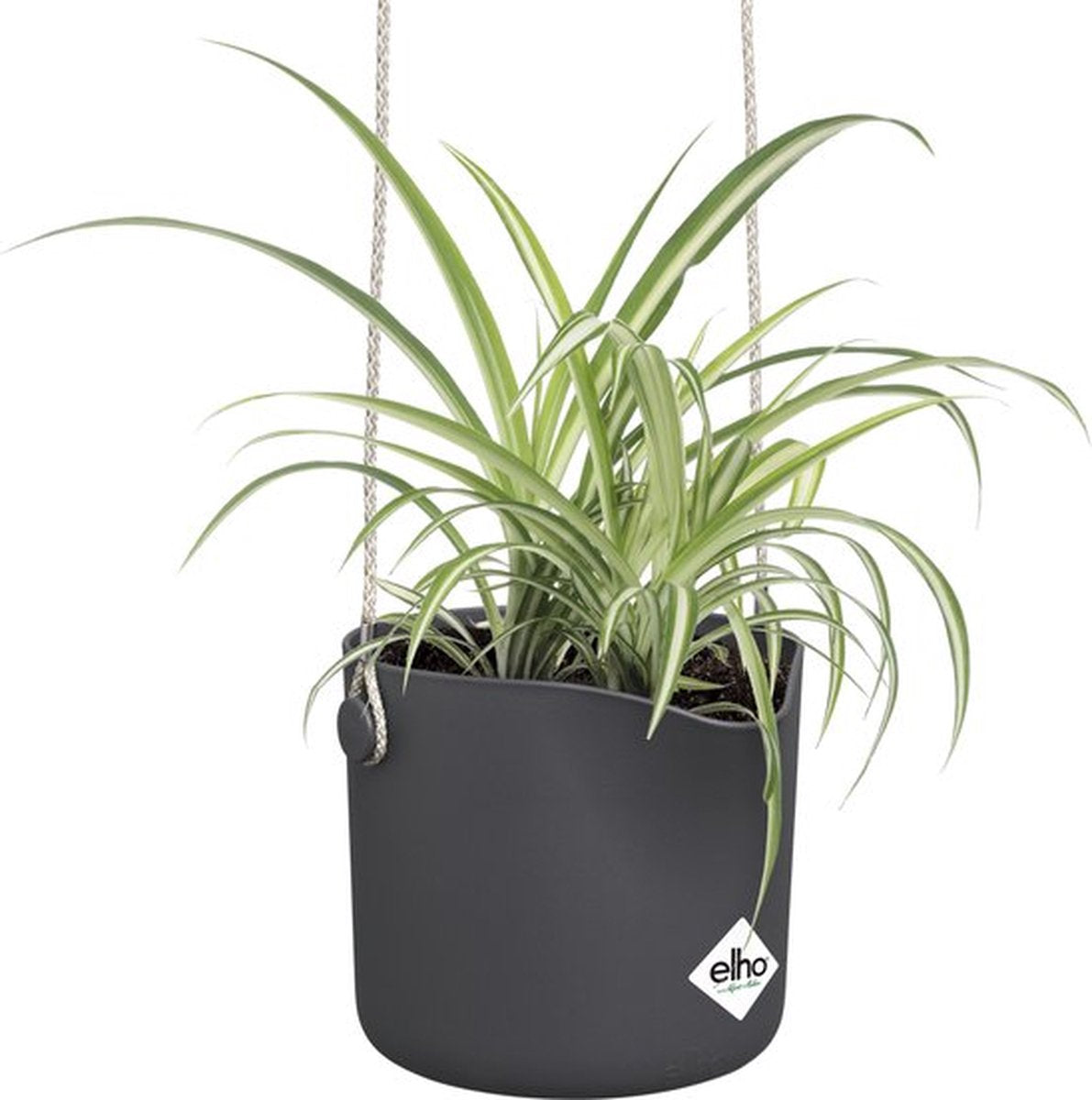  Elho B.for Swing 18 Hangpot - Bloempot Voor Binnen - Ø 18.0 X H 16.5 Cm - Zwart/Antraciet