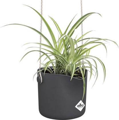  Elho B.for Swing 18 Hangpot - Bloempot Voor Binnen - Ø 18.0 X H 16.5 Cm - Zwart/Antraciet