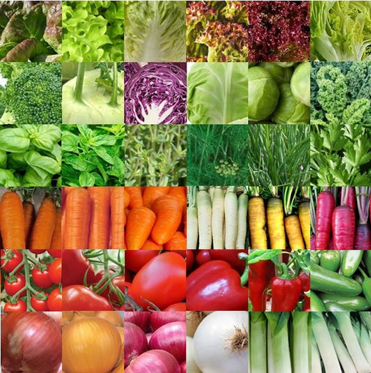  Groentezaden Assortiment 36 Soorten (sla, Kolen, Wortels, Kruiden, Tomaten, Paprika, Uien, Prei) Zaadlint